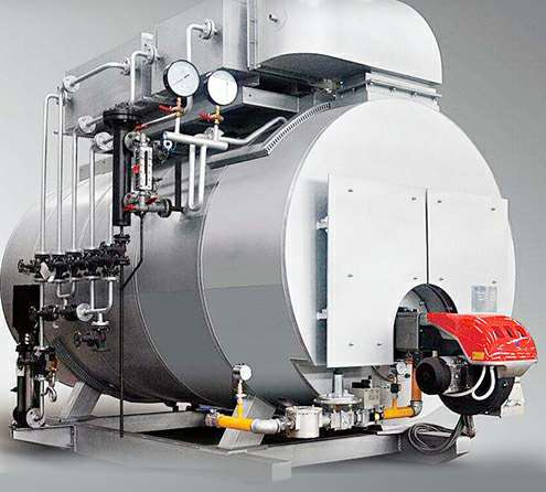 燃气锅炉专业制造厂家 燃气锅炉厂家-天津弘文特色农产品开发有限公司